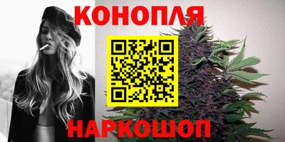 винт Будённовск