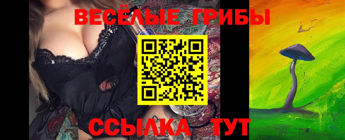 Галлюциногенные грибы Cubensis Краснодар