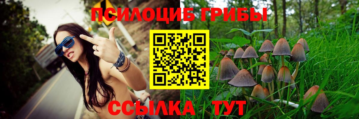 Краснодар  где найти наркотики  Вход с VPN  Псилоцибиновые грибы Cubensis  Псилоцибиновые грибы Cubensis 